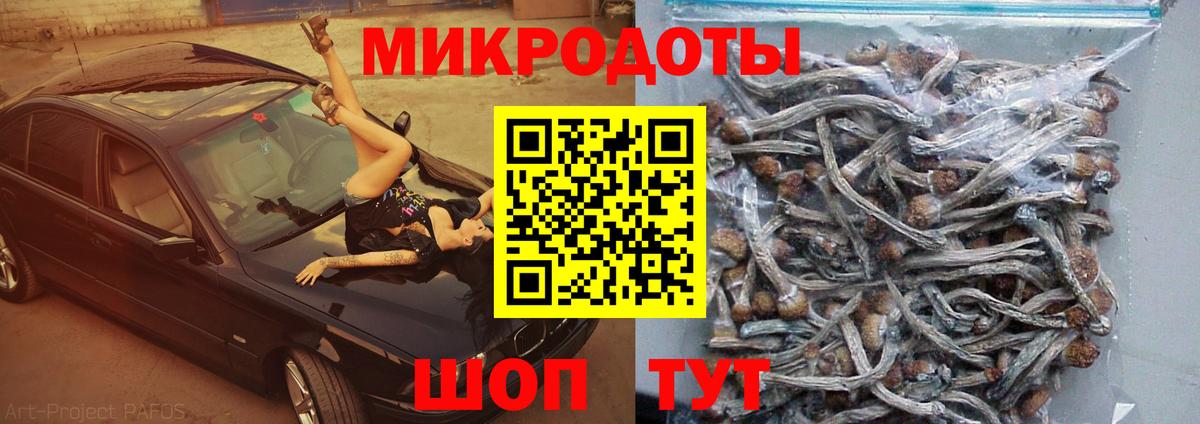 Галлюциногенные грибы MAGIC MUSHROOMS  Вход с VPN  сколько стоит  Пушкино 